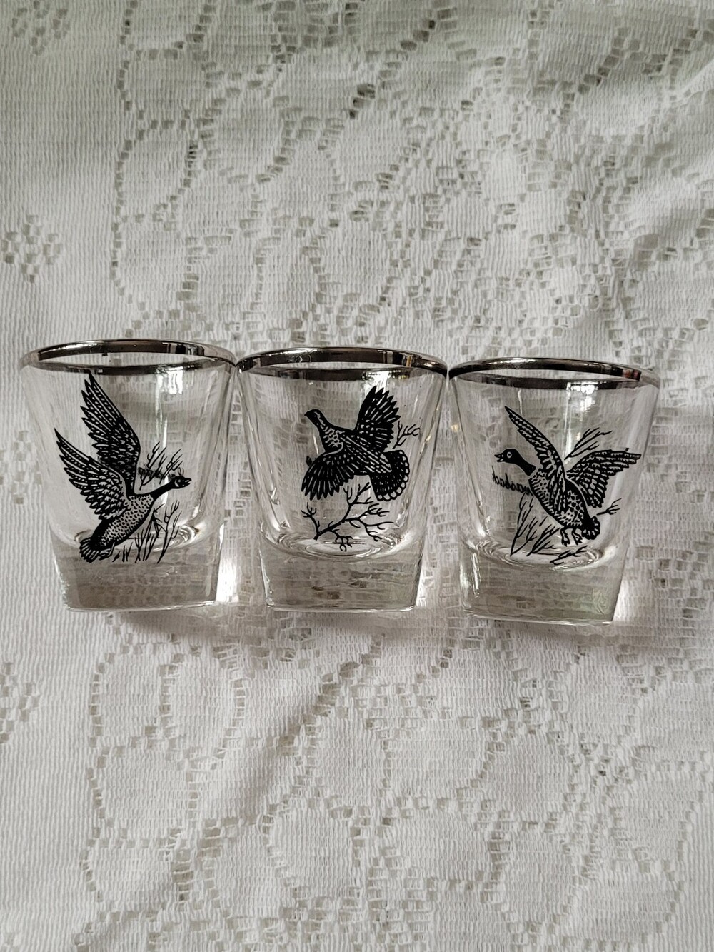 Canada Goose Grouse Canvasback Duck Clear Shotglasses with Silver Rim - Set of 3